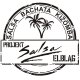 Logo Salsa Elbląg