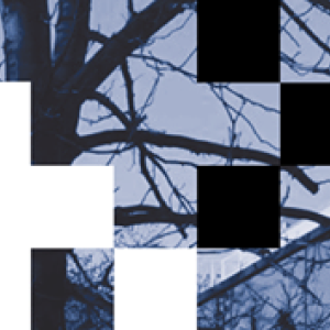 TEATR OCHOTY. OŚRODEK KULTURY TEATRALNEJ 