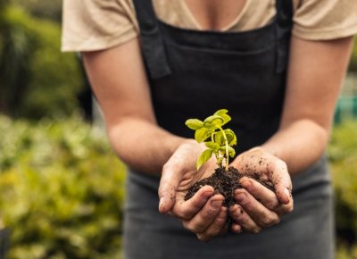 Jak prowadzić biznes i jednocześnie dbać o ekologię i środowisko naturalne?