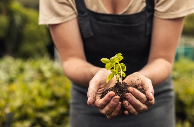 Jak prowadzić biznes i jednocześnie dbać o ekologię i środowisko naturalne?
