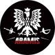 Logo Szkoła Fechtunku Aramis