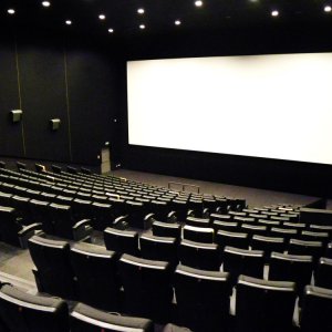 NoveKino Przedwiośnie