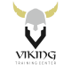 Logo Viking Training Center