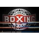 Logo Global Boxing