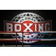 Logo Global Boxing
