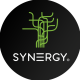 Logo Studio Synergy