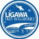 Logo Lodowisko Ligawa