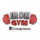 Logo Iron Gym
