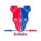 Logo CrossFit New Dogs Gym 