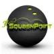 Logo Squash Point Bydgoszcz