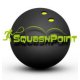 Logo Squash Point Bydgoszcz