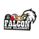 Logo Falcon Klub Bilardowy