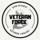 Logo Veteran Force
