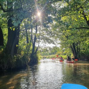 Wypożyczalnia Kajaków Relaks Zwierzyniec