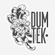 Logo Dum Tek Dance Studio