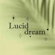 Logo Lucid Dream Studio