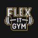 Logo Flex It Gym