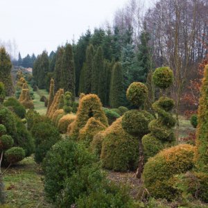 Ogrody Tematyczne Hortulus