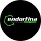 Logo Endorfina Platinium Gym&Fitness Starachowice