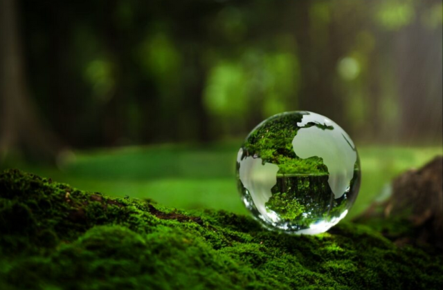 Sektor MŚP zainteresowany ESG, ale realne działania podejmuje tylko część firm!