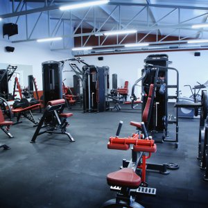 Ambed Gym & Fitness