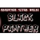 Logo Akademia Sztuk Walki - Black Panther
