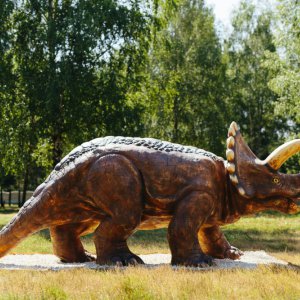 Brzezovka Kompleks Turystyczny