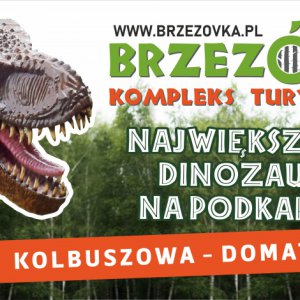 Brzezovka Kompleks Turystyczny