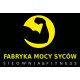 Logo Fabryka Mocy Syców