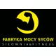 Logo Fabryka Mocy Syców