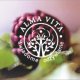 Logo Centrum Alma Vita