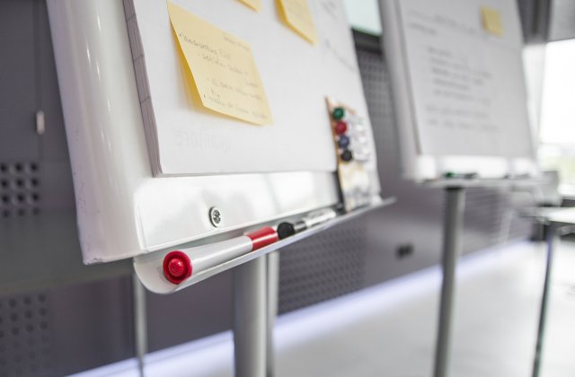 WSPIERANIE ROZWOJU PRACOWNIKÓW W ORGANIZACJI