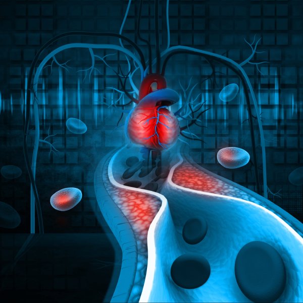 NIE BÓJ SIĘ CHOLESTEROLU! FAKTY I MITY