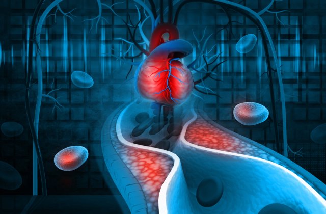 NIE BÓJ SIĘ CHOLESTEROLU! FAKTY I MITY