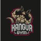 Logo Kangur Gym