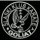 Logo Śląski Klub Karate 