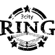 Logo Ring3City