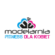 Logo Modelarnia