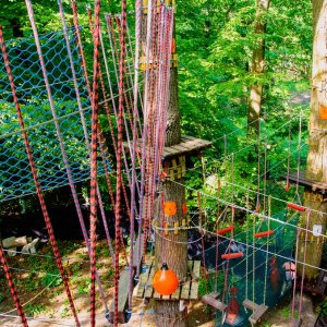 Park Linowy Arturówek