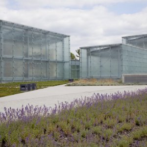 Muzeum Śląskie ul.Tadeusza Dobrowolskiego 1