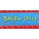Logo Basen przy SP nr 113