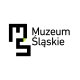 Muzeum Śląskie ul.Tadeusza Dobrowolskiego 1