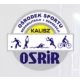 Logo Ośrodek Sportu Rehabilitacji i Rekreacji w Kaliszu