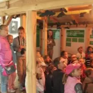 Muzeum Lasu i Drewna