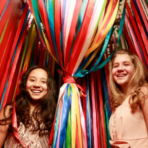 House Of Attractions