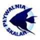 Logo OSiR Ursus-Pływalnia Skalar
