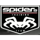 Logo Sieć Treningu Spiders