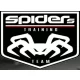 Logo Sieć Treningu Spiders