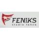 Logo Studio Tańca Feniks