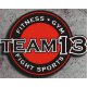 Logo Team 13